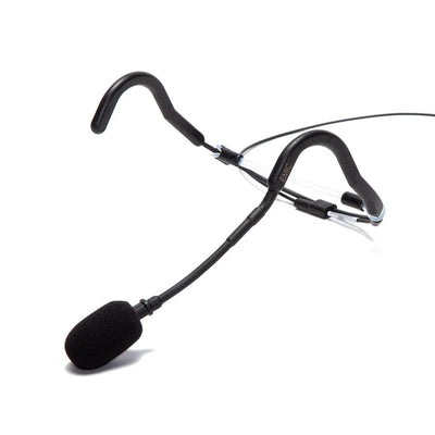 E-Mic